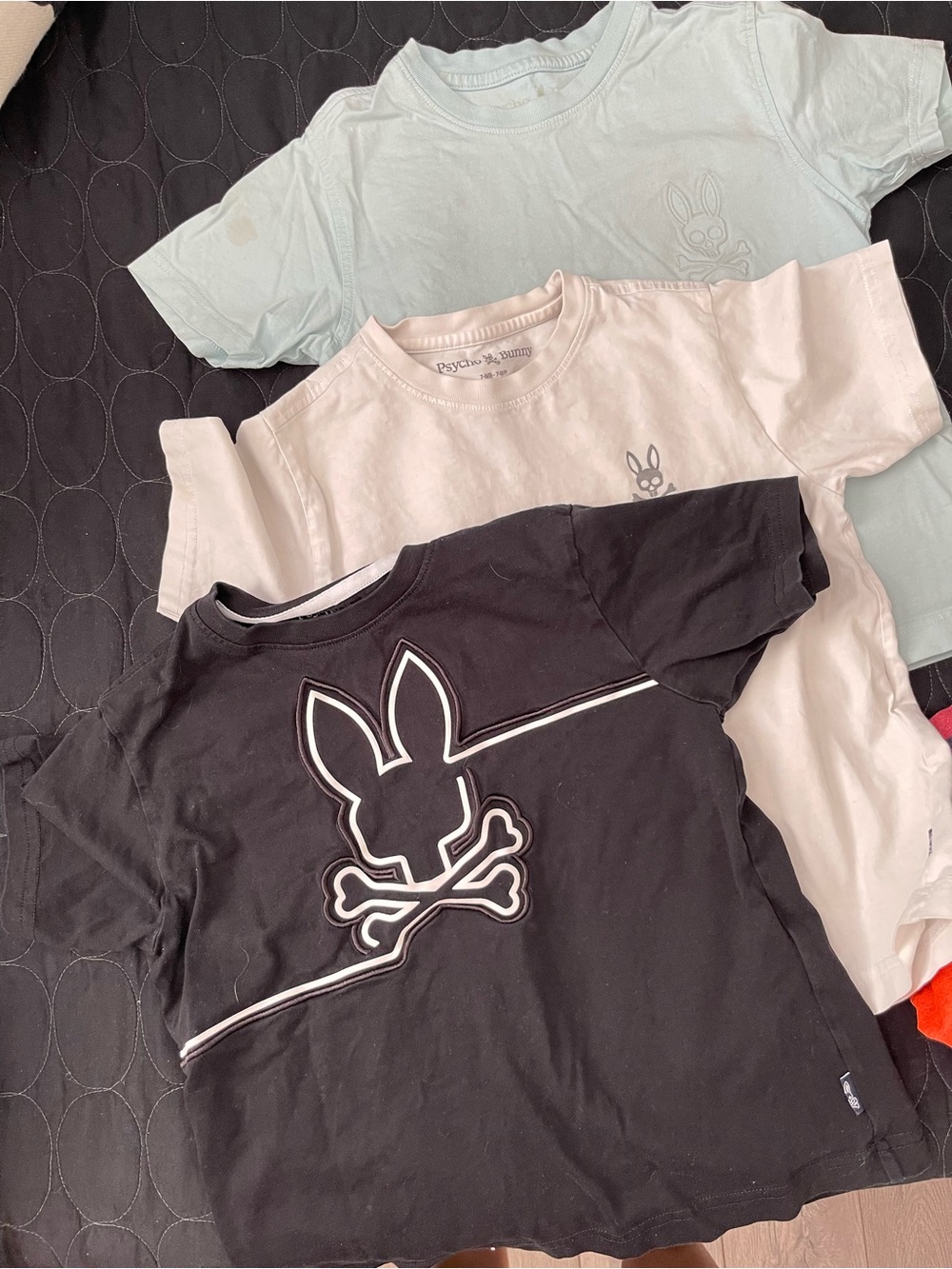 Psycho Bunny Kids shirt set